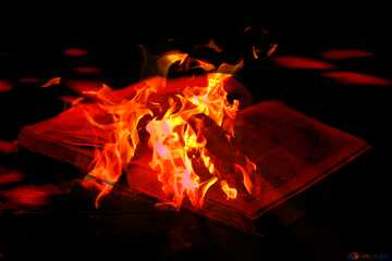 FX №177725 Burn books burning book