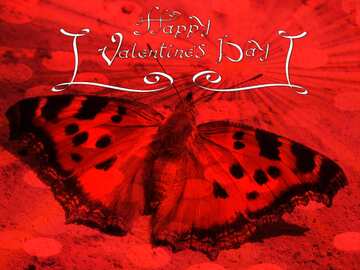 FX №177439 Butterfly Happy Valentine`s day red card background