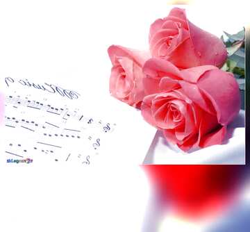 FX №177015 Card greetings music rose and notes blank template