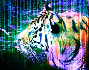 FX №177628  Digital Background blue Tiger