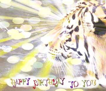 FX №177616  Happy Birthday To Tiger