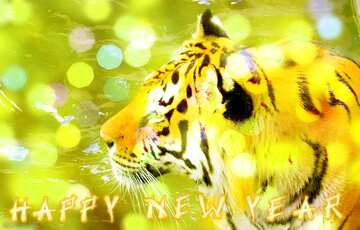 FX №177609  Happy New Year Background Card With Tiger