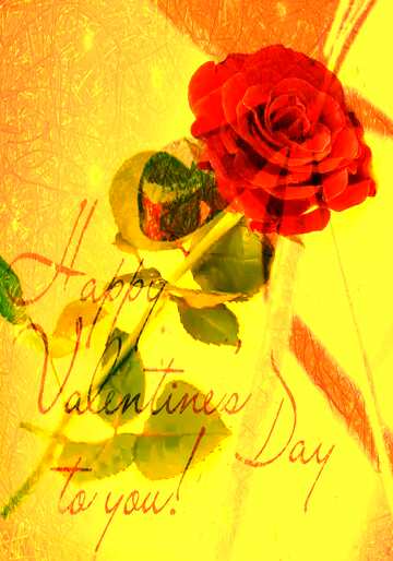 FX №177661  Happy Valentine`s Day Greeting Card Background Red Rose