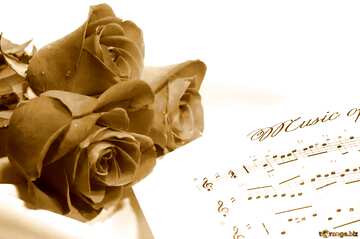 FX №177007 Monochrome Card greetings music rose and notes blank template