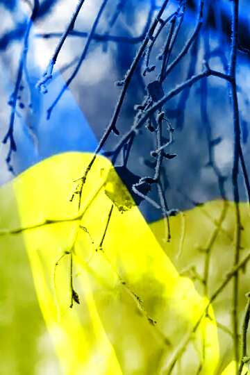 FX №177912  Ukrainian Spring Background