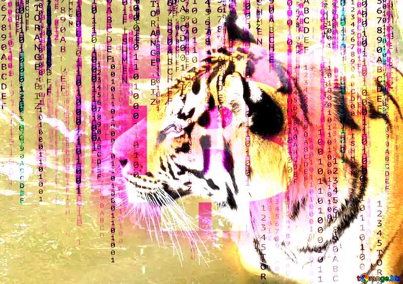  Beautiful tiger №45019