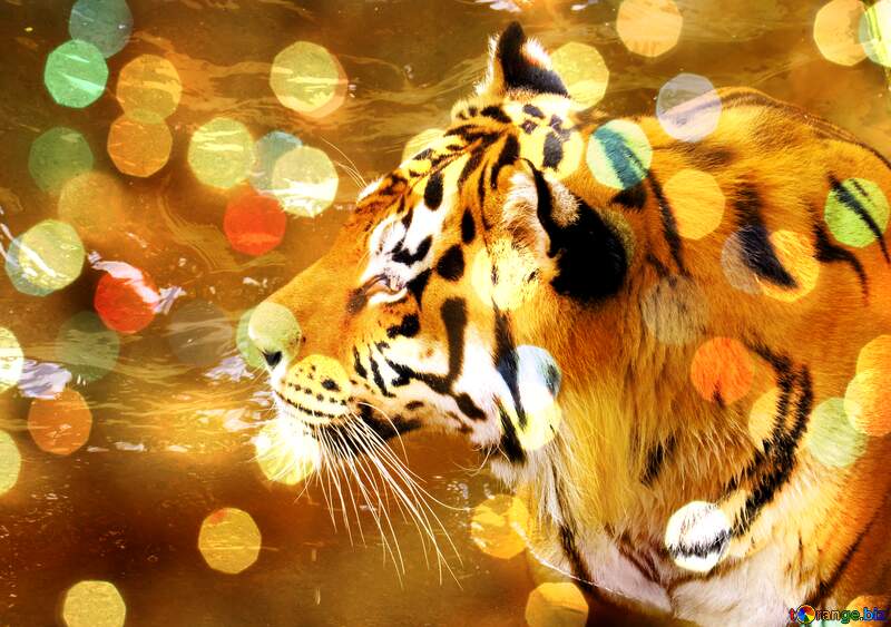  Beautiful tiger Background №45019