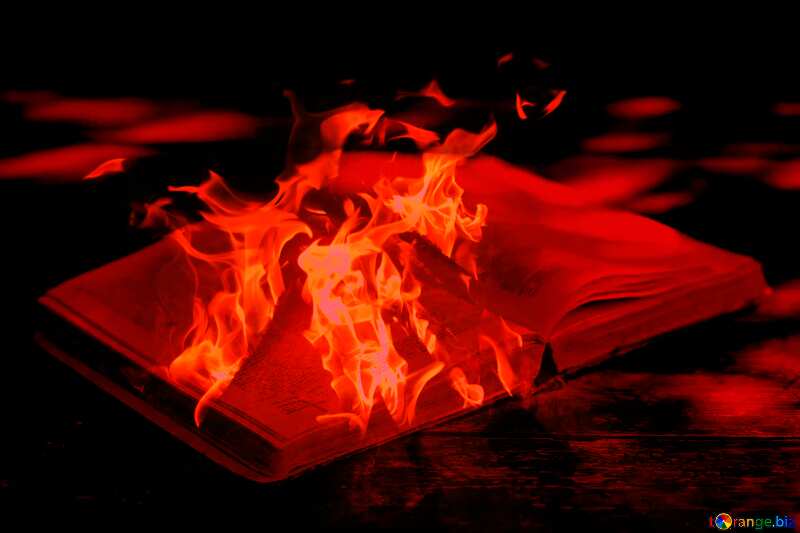 Burn books burning book №33977