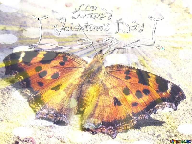 Butterfly card Happy Valentine`s day №22270