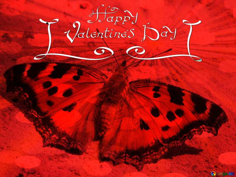 Butterfly Happy Valentine`s day red card background №22270