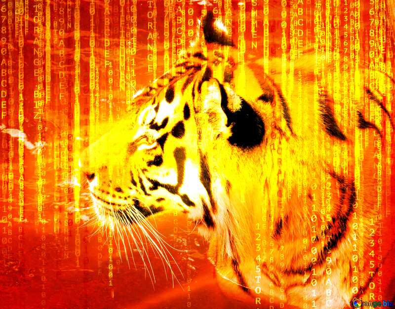  Digital Background orange Tiger №45019