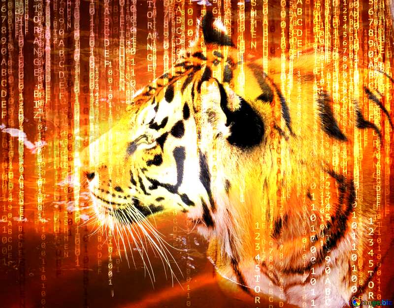  Digital Background Tiger №45019
