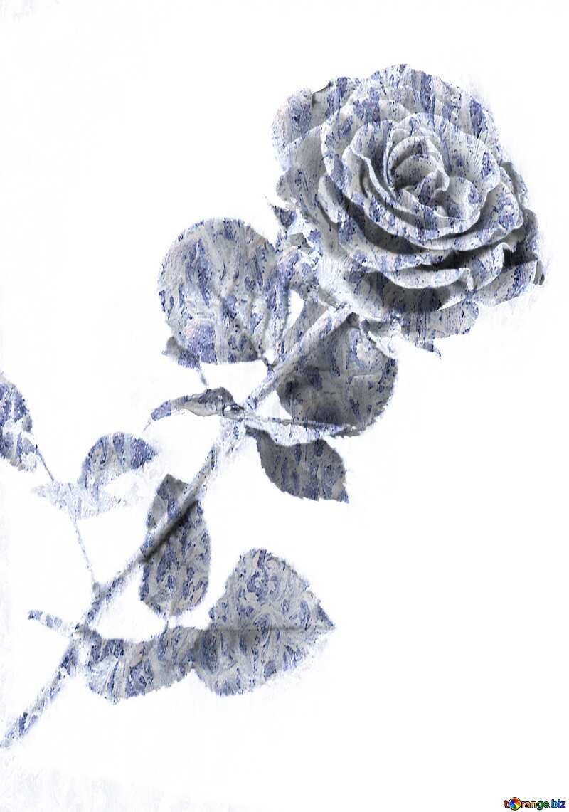  Frozen Rose №16891