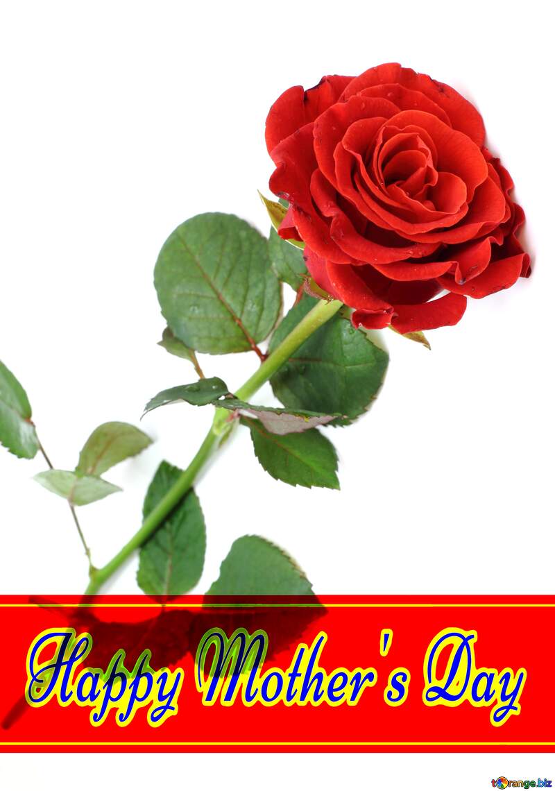 Happy Mothers Day With Rose Download free picture №177663