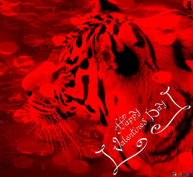 Happy Valentines Day Red Card with Tiger №45019