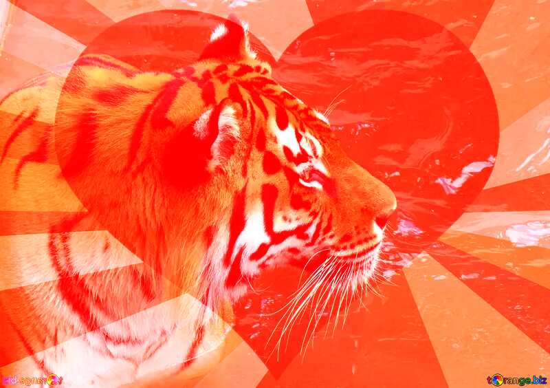  Heart Background With Tiger №45019