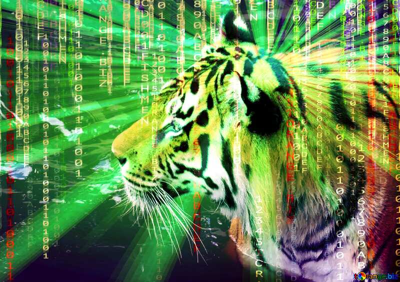 Tiger Of Matrix Style Digital Background №45019