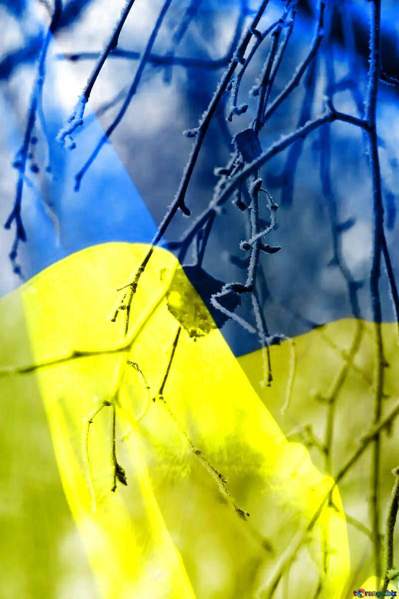 Ukrainian Spring Background №439