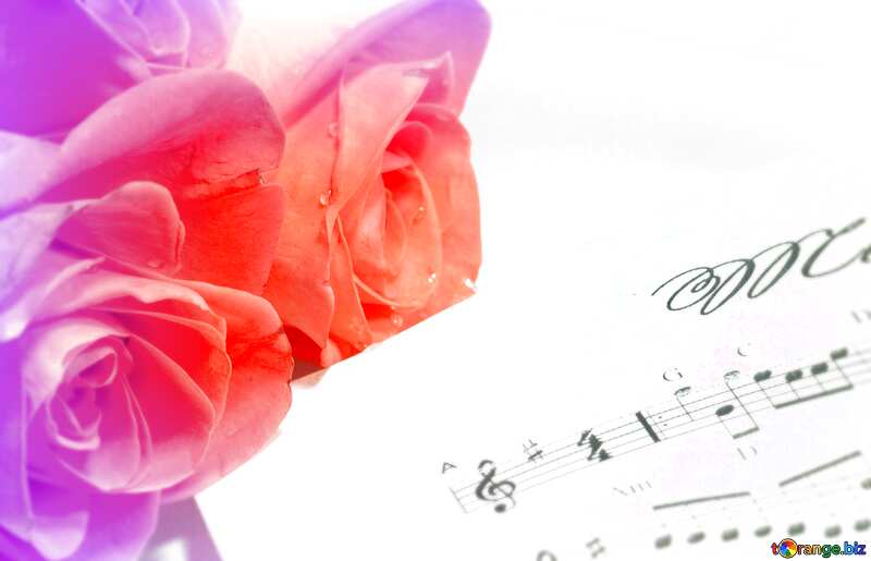 Card greetings music rose and notes blank template №7255