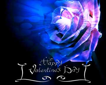 FX №178151 Blue Rose flower Happy Valentines Day Concept Card Background