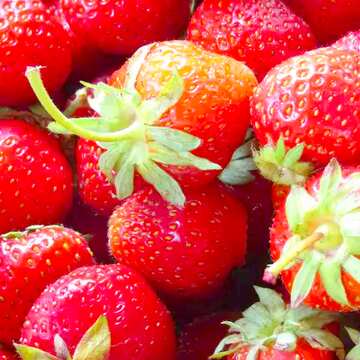 FX №178012 strawberries Background