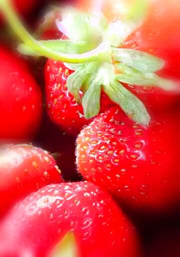 FX №178014 Strawberries Background
