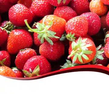 FX №178015 strawberries Blank Food Border Design Template