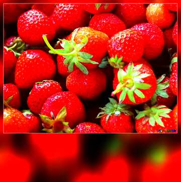 FX №178018 strawberries Template