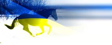 FX №178976 Ukrainian Horse running winter Background