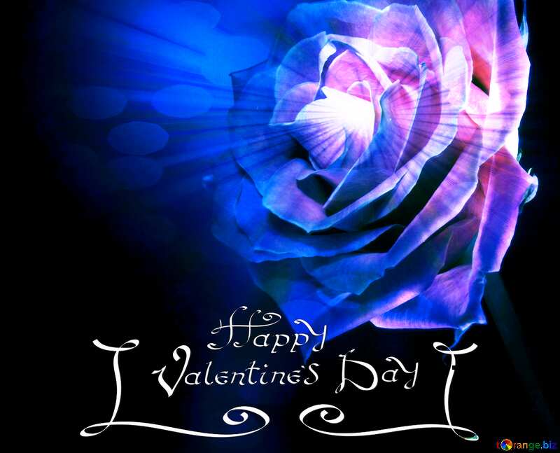 Blue Rose flower Happy Valentines Day Concept Card Background №7630