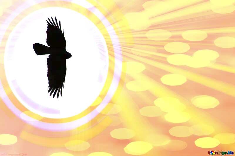 Crow flying Infographics circle frame Gold Rays Background №588