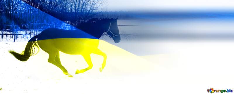 Ukrainian Horse running winter Background №18192