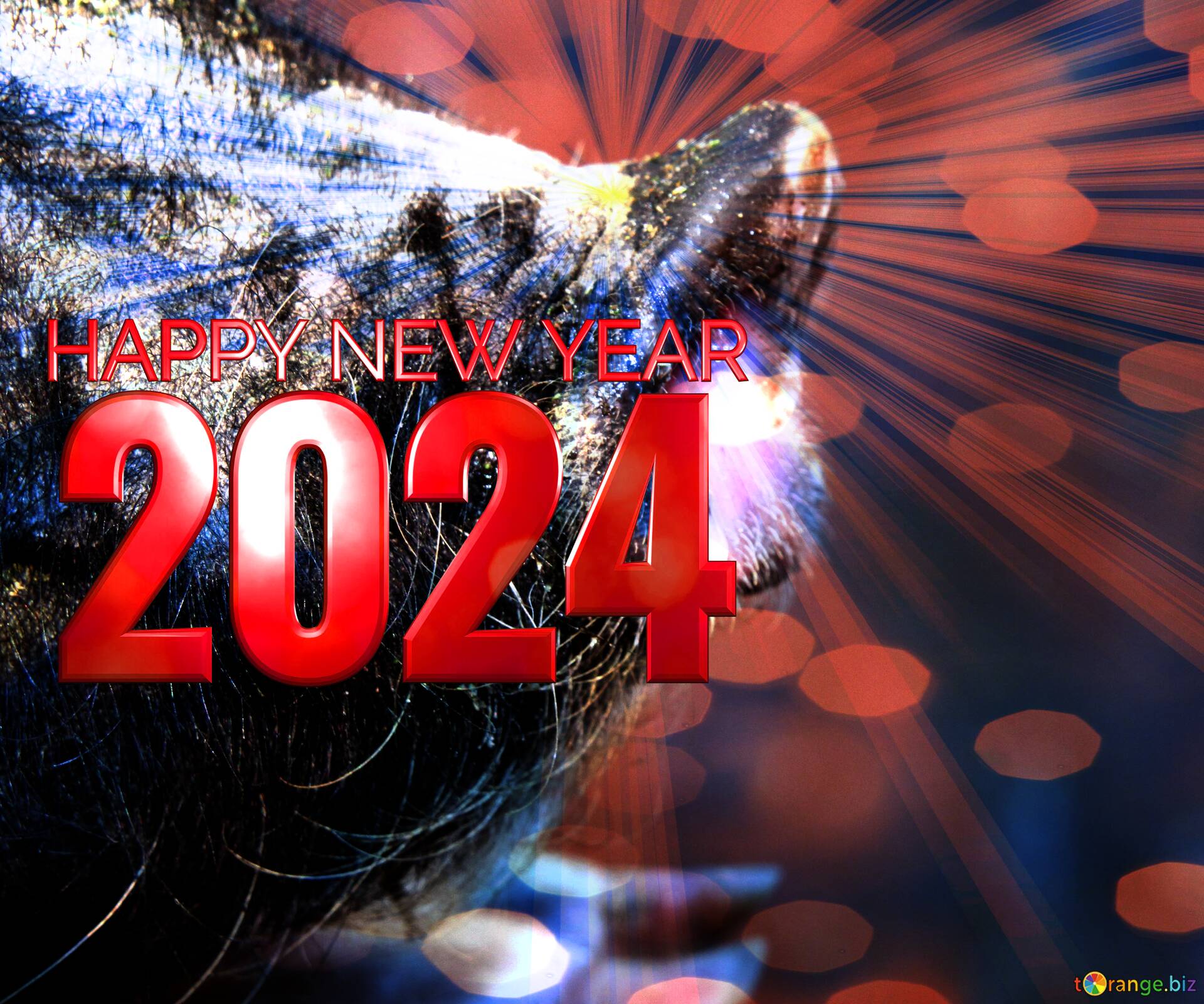 Happy New Year of pig 2024 card background №179119