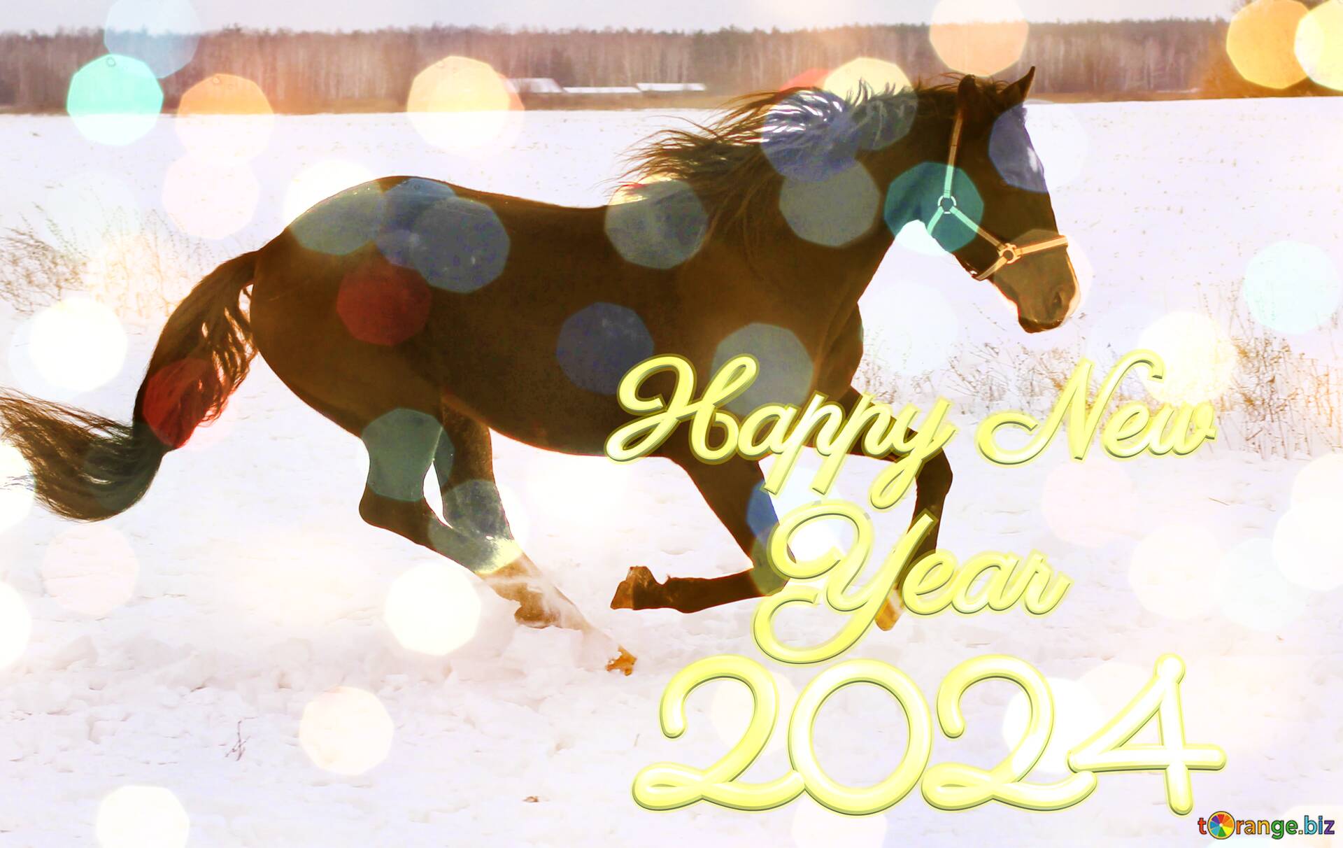 Download free picture Horse on snow Creative Card Happy New Year 2024