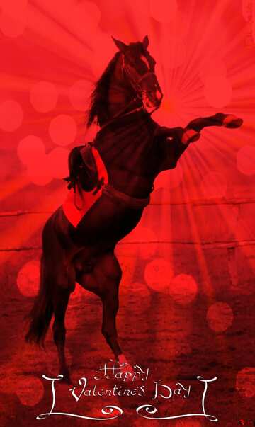 FX №179360 Black Horse standing on hind legs Happy Valentines Day card Red background