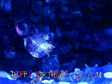 FX №179600  Blue Rose with Snowflake Happy Birthday Card