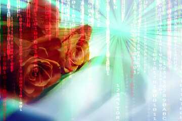 FX №179212  Bouquet  Roses Matrix Style Rays Background