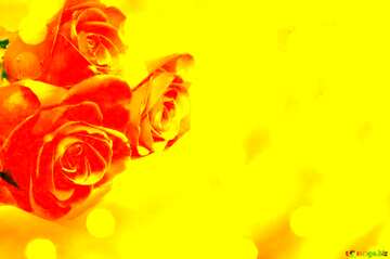 FX №179220  Bouquet  Roses  Yellow Card Background