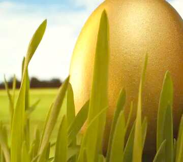 FX №179958 Easter Gold  egg