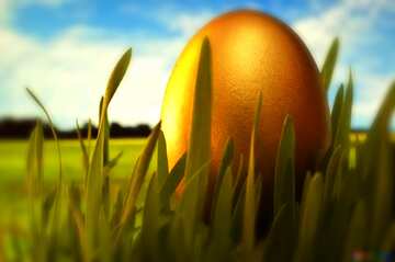 FX №179965 Easter Gold  egg