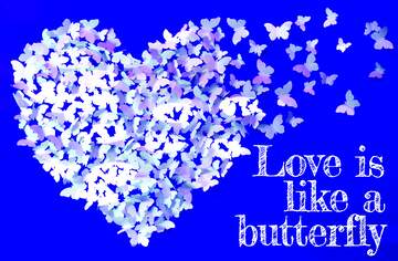 FX №179809 Example of Butterfly Love card including word template