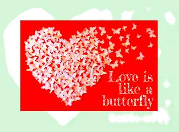 FX №179756 Frame Card Love is like a butterfly.