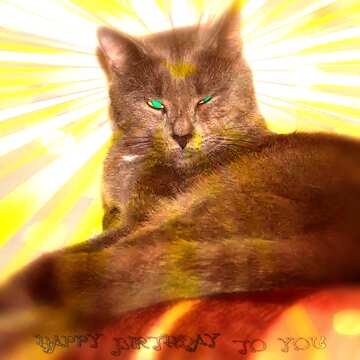 FX №179482 A gray cat Happy Birthday Card Background