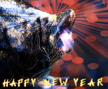 Download Free Picture Happy New Year Of Pig 2024 Card Background On CC   Happy New Year Pig 2020 179108 