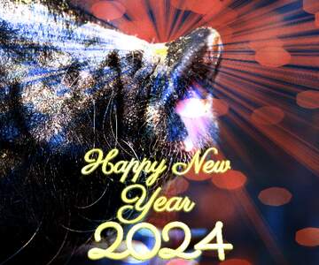 FX №179111 Happy New Year of pig 2022 card background