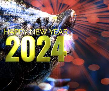 FX №179109 Happy New Year of pig 2024 card background