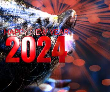 FX №179119 Happy New Year of pig 2024 card background