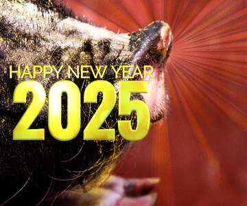 FX №179109 Happy New Year of pig 2025 card background