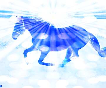 FX №179016  Horse snow blue card background