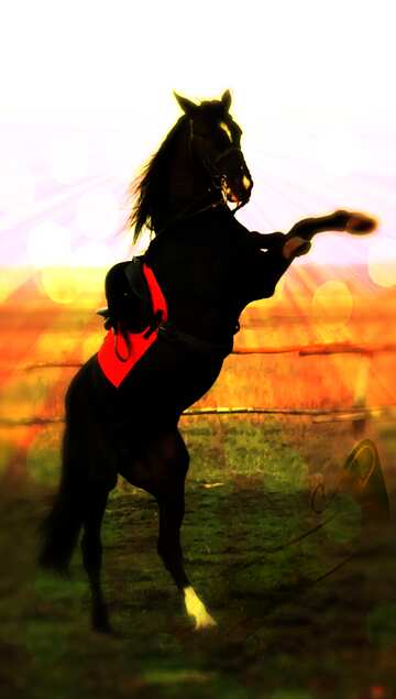 FX №179362 Horse standing background